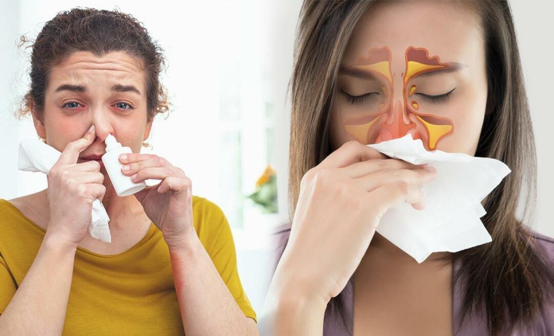Wat is goed voor verstopte neus? Een medicijnvrije oplossing voor verstopte neus!