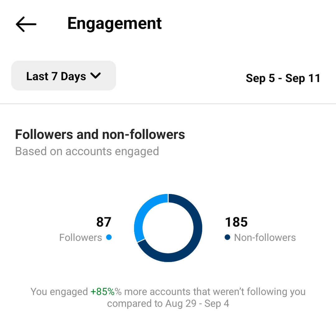 hoe-instagram-reels-engagement-insights-accounts-engaged-engagement-metrics-voorbeeld-9 evalueren