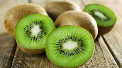 Wat zijn de voordelen van kiwi? Hoe wordt kiwithee gemaakt? Voor welke ziekten is kiwi goed?