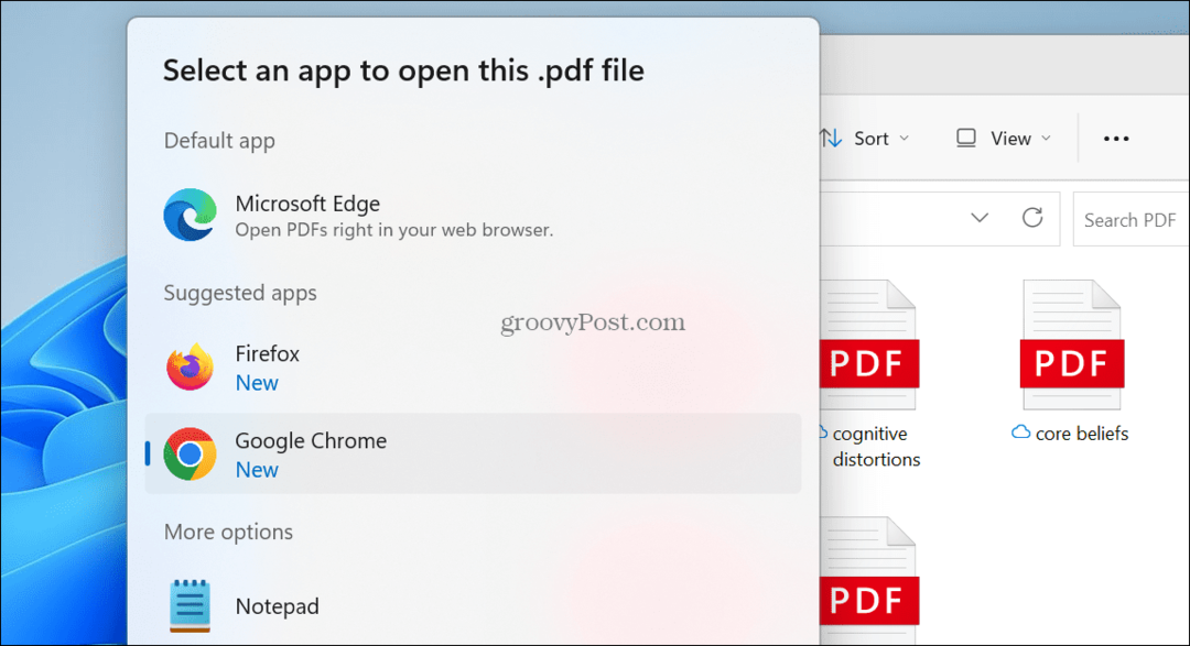 Standaard PDF-viewer op Windows 11