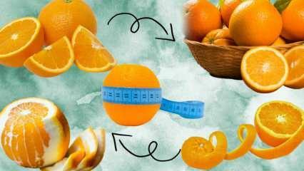 Hoeveel calorieën zitten er in een sinaasappel? Hoeveel gram is 1 middelgrote sinaasappel? Zorgt het eten van sinaasappel ervoor dat je aankomt?