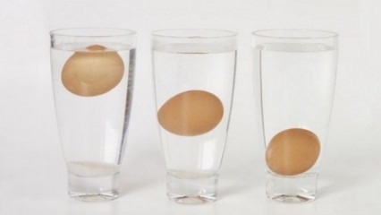 Hoe muffe eieren te begrijpen?