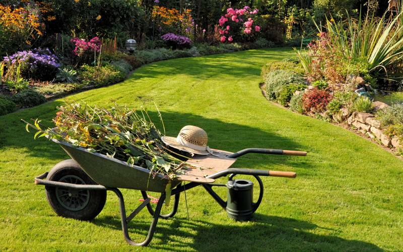 Hoe wordt de tuin schoongemaakt? Suggesties voor tuinreiniging en bestelling!
