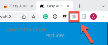 Chrome-extensiepictogram