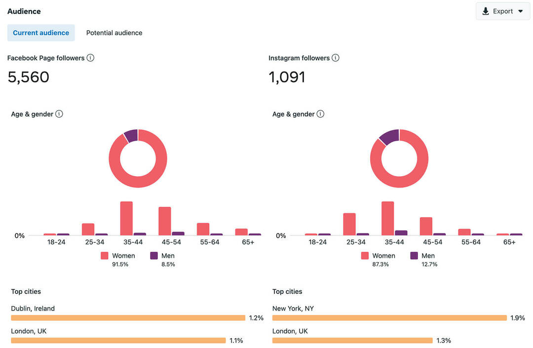 how-to-do-an-an-anual-social-media-audit-check-audience-metrics-business-suite-demographics-locations-facebook-pages-instagram-accounts-example-7