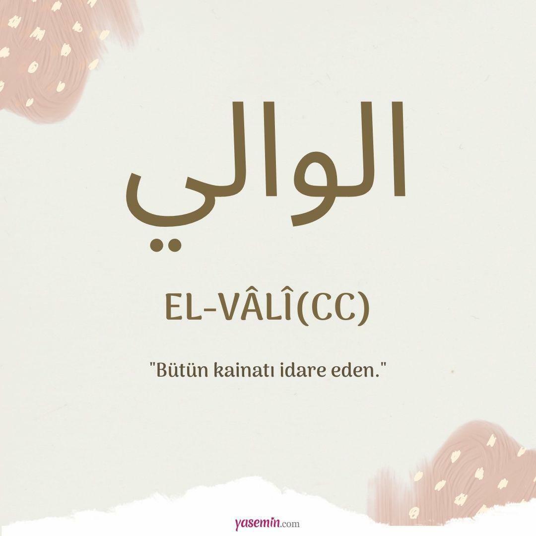 Wat betekent al-Vali (c.c)?
