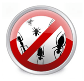 Installeer Anti-virus om bugs en nasy viruscode te pletten!