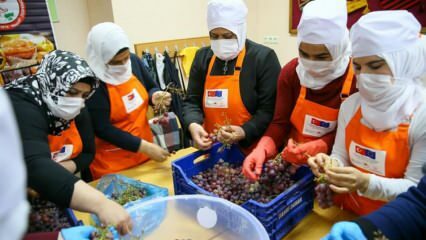 Syrische vrouwen leren druiven in İzmir om te zetten in melasse