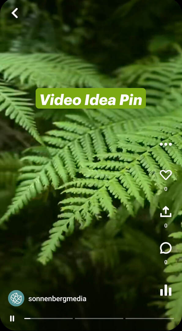 wat-zijn-pinterest-idee-pins-sonnenbergmedia-video-pin-voorbeeld-1