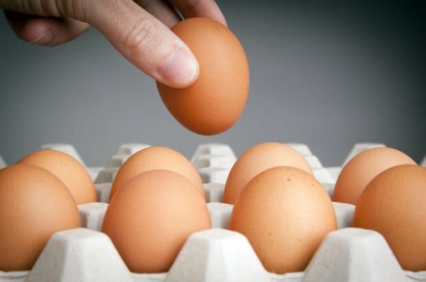 Opslagmethoden voor eieren