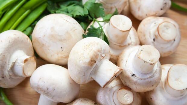 hoeveel soorten paddenstoelen er zijn