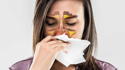 Wat is een allergie? Wat zijn de symptomen van allergische rhinitis? Hoeveel soorten allergieën zijn er? 