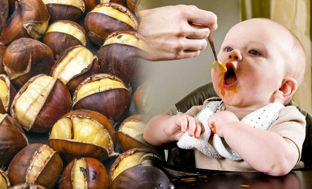 Kunnen baby's kastanjes eten? Hoe kastanjepudding maken?