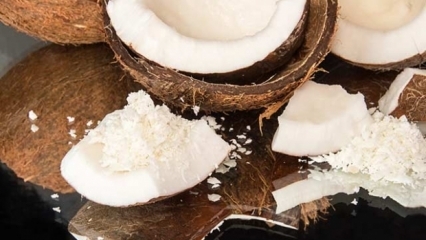 Hoe kokosnoot snijden is het meest praktisch?
