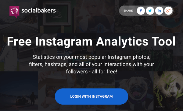 Log in met Instagram om toegang te krijgen tot het gratis rapport van Socialbakers.
