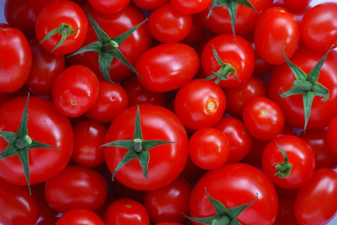 Hoe menemenlik-tomaten te kiezen