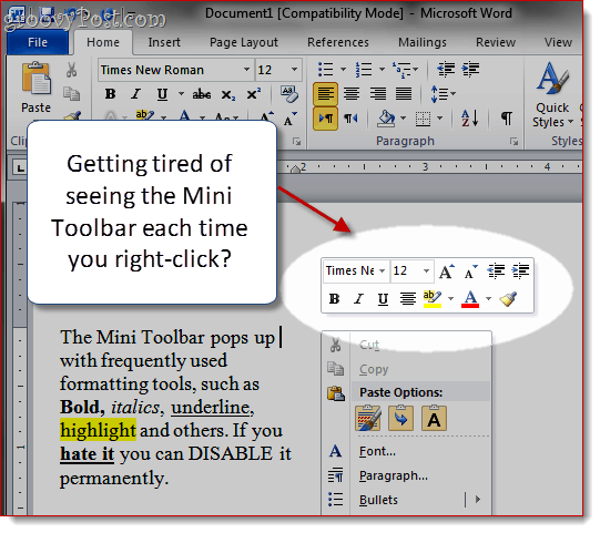 Verwijder Mini-Toolbar in Word 2007 en Word 2010