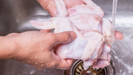 Hoe moet de kip worden schoongemaakt? 