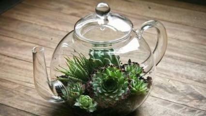 Thuis een terrarium maken