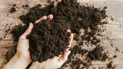 Hoe moet de potgrond zijn? Wat is veenmos (Turf Soil)?