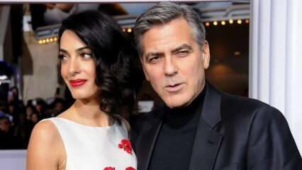 Droomkoppel George Clooney en Clooney Alamuddin gaan scheiden!