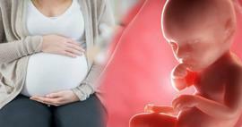Hoe krijgen baby's tijdens de zwangerschap voedingsstoffen van de moeder? Hoe de baby in de baarmoeder van de moeder te voeden
