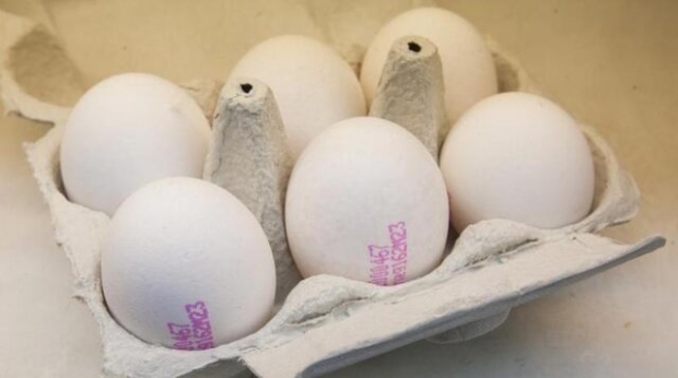 Hoe wordt biologisch ei begrepen? Wat betekenen de codes van het ei?