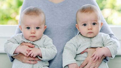 Verschillen tussen identieke en broederlijke tweelingen