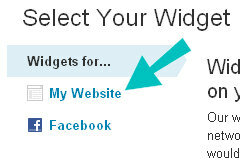 widget website