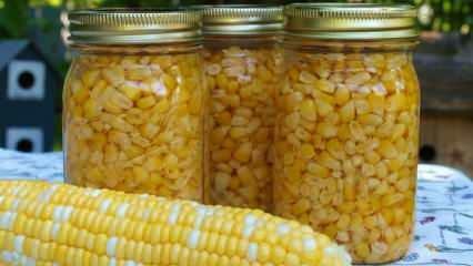 Hoe wordt maïs bewaard? De eenvoudigste manieren om maïs te bewaren! Bereiding van wintermaïs