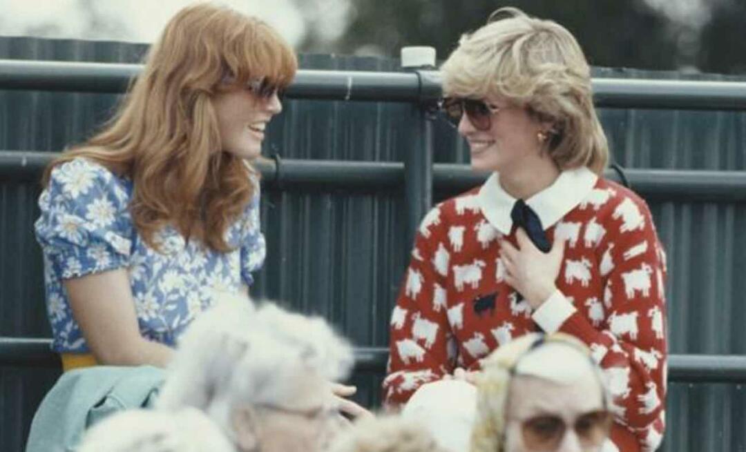 De iconische trui van prinses Diana werd voor een verbazingwekkende prijs verkocht! Voor het zwarte schaap, precies...