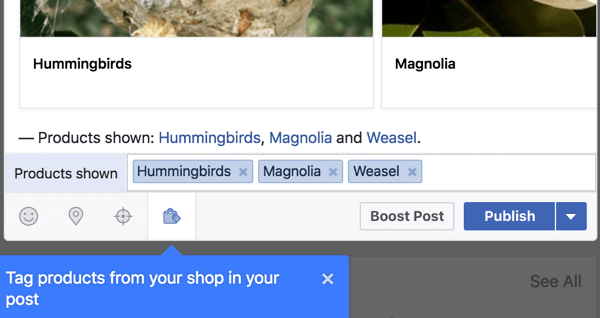 Voeg productlinks van uw Facebook-winkel toe.