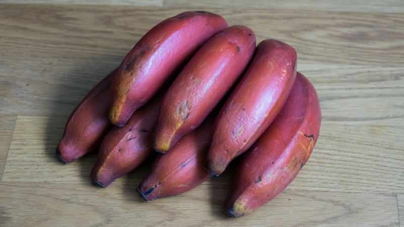 rode bananen worden paars naarmate ze rijpen