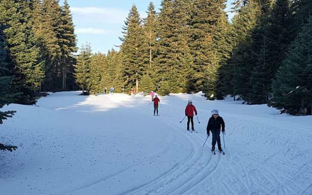 Hoe bereikt u het Yurduntepe-skicentrum? Plaatsen om te bezoeken in Kastamonu
