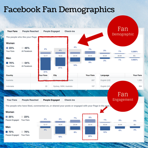 facebook fan demografische grafiek