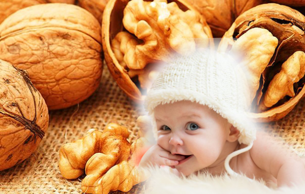 walnoten zijn goed voor baby's