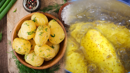 Hoe wordt de aardappel gekookt? De toppen van gekookte aardappelen