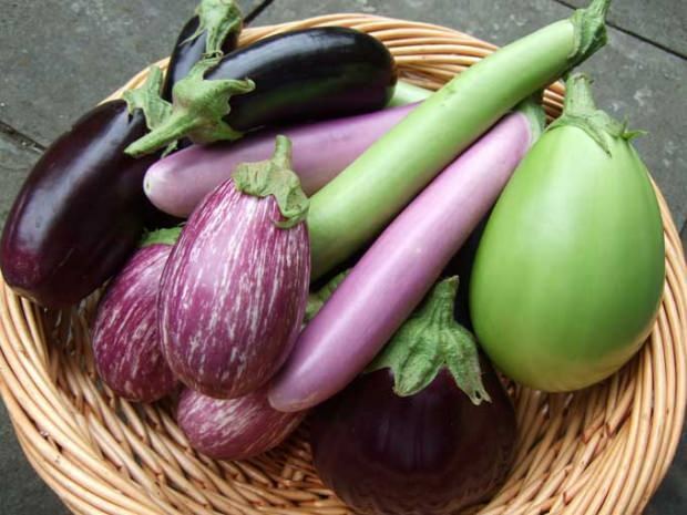 De voordelen van auberginestelen