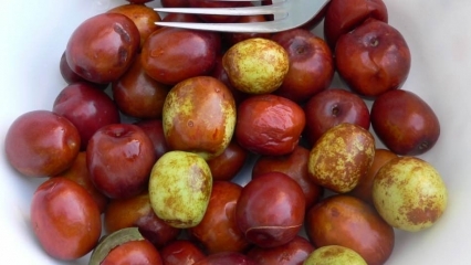 Wat zijn de voordelen van jujube-fruit? Voor welke ziekten is jujube?