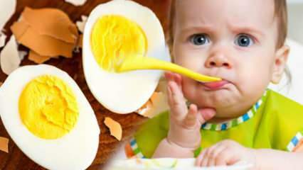 Hoe moeten eierdooiers aan baby's worden gegeven? Hoeveel maanden om het ei te starten? Baby ei recept