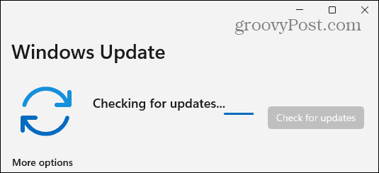 Windows-11 controleert op updates