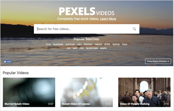 Pexels biedt gratis stockvideo aan die u kunt gebruiken in uw LinkedIn-videoadvertenties.