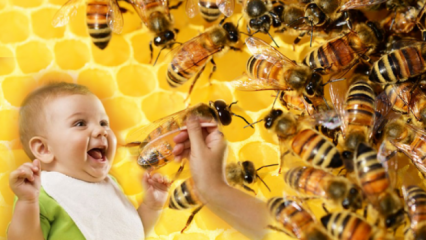 Hoe moet honing aan baby's worden gegeven? Wat mag niet worden gegeven vóór de leeftijd van 1 jaar