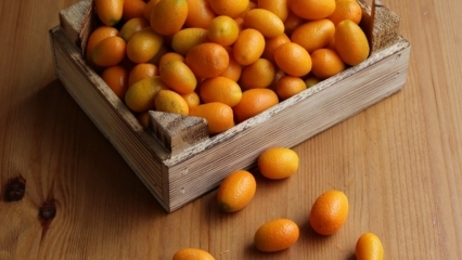 Wat zijn de voordelen van Kumquat (Kumkat)? Voor welke ziekten is Kumquat goed? Hoe wordt kumquat geconsumeerd?