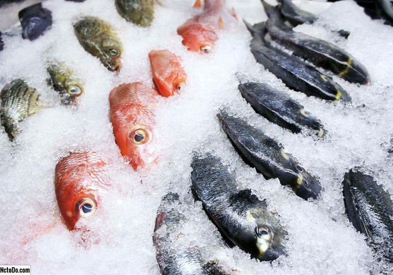 Hoe wordt vis bewaard? Wat zijn de tips om vis in de vriezer te houden?