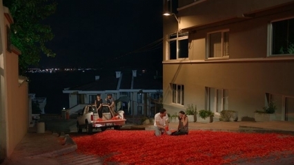 Onur Tuna's huwelijksaanzoek met 100 duizend rozenblaadjes!