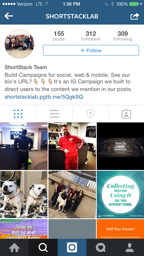 shortstach instagram wedstrijd link afbeelding