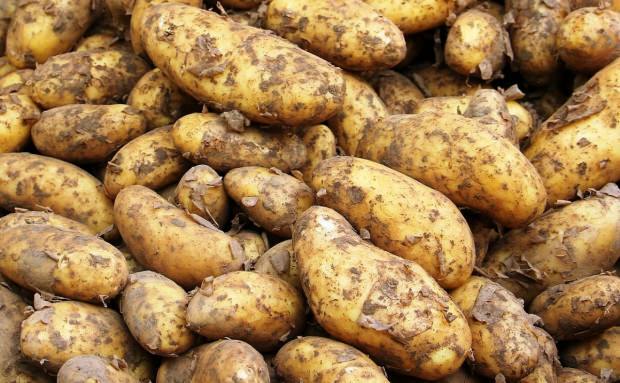 Wat doet aardappelsap?