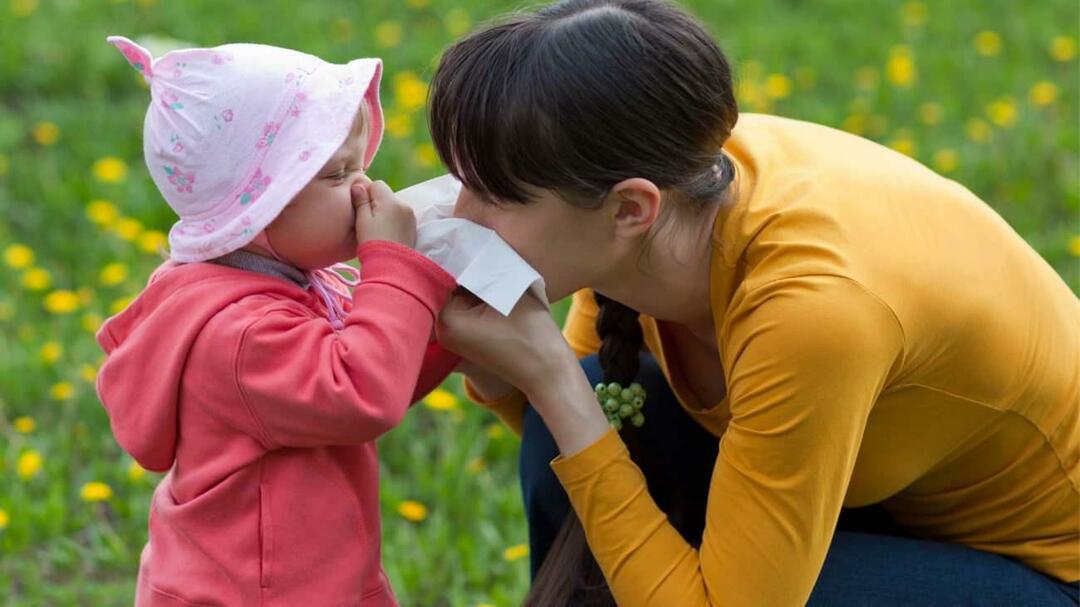 Wat is het verschil tussen seizoensgebonden allergieën en verkoudheid bij kinderen?
