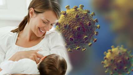 Gaat het coronavirus over van melk naar baby? Aandacht voor aanstaande moeders tijdens het pandemieproces! 